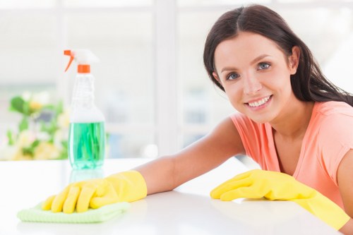 Gutter cleaning service for Chelsea homes and townhouses