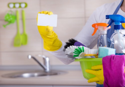Thorough oven door and interior cleaning in Chelsea