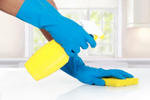 Short-let cleaning for a townhouse or serviced apartment in Chelsea