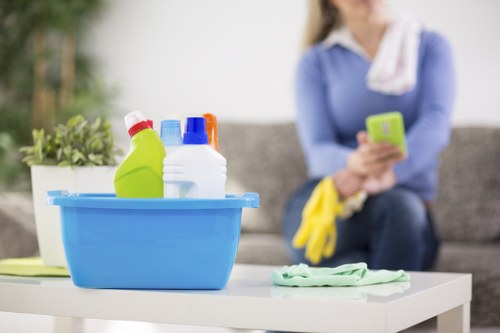 Fabric sofa and chair deep cleaning service in Chelsea