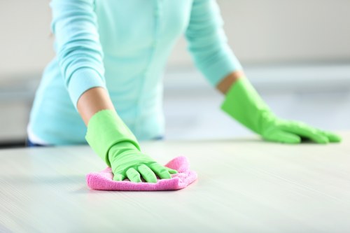 Cleaning oven racks and trays as part of a deep oven clean