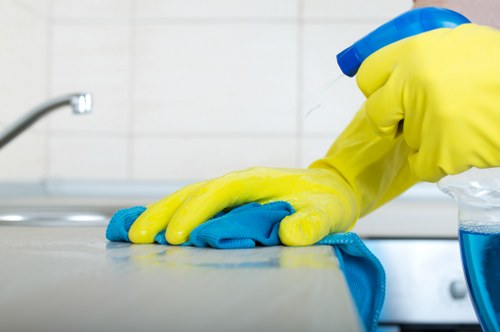 Chelsea Carpet Cleaners team using sustainable recycling practices