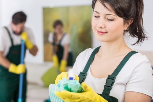 Pet stain odour removal service for a Chelsea residential or commercial interior