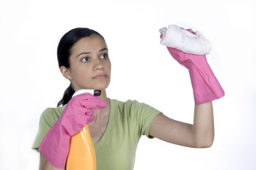 Professional cleaner handling shared access areas in Chelsea